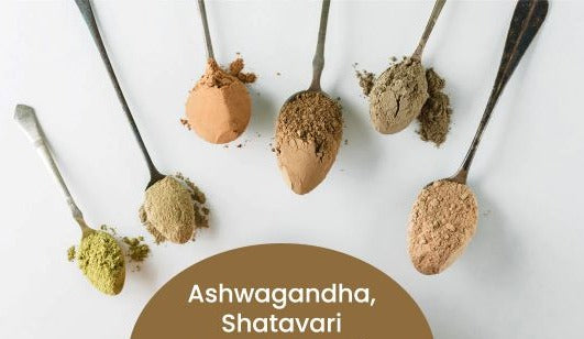 Women's Superfood Blend | Organic Superfood For Women