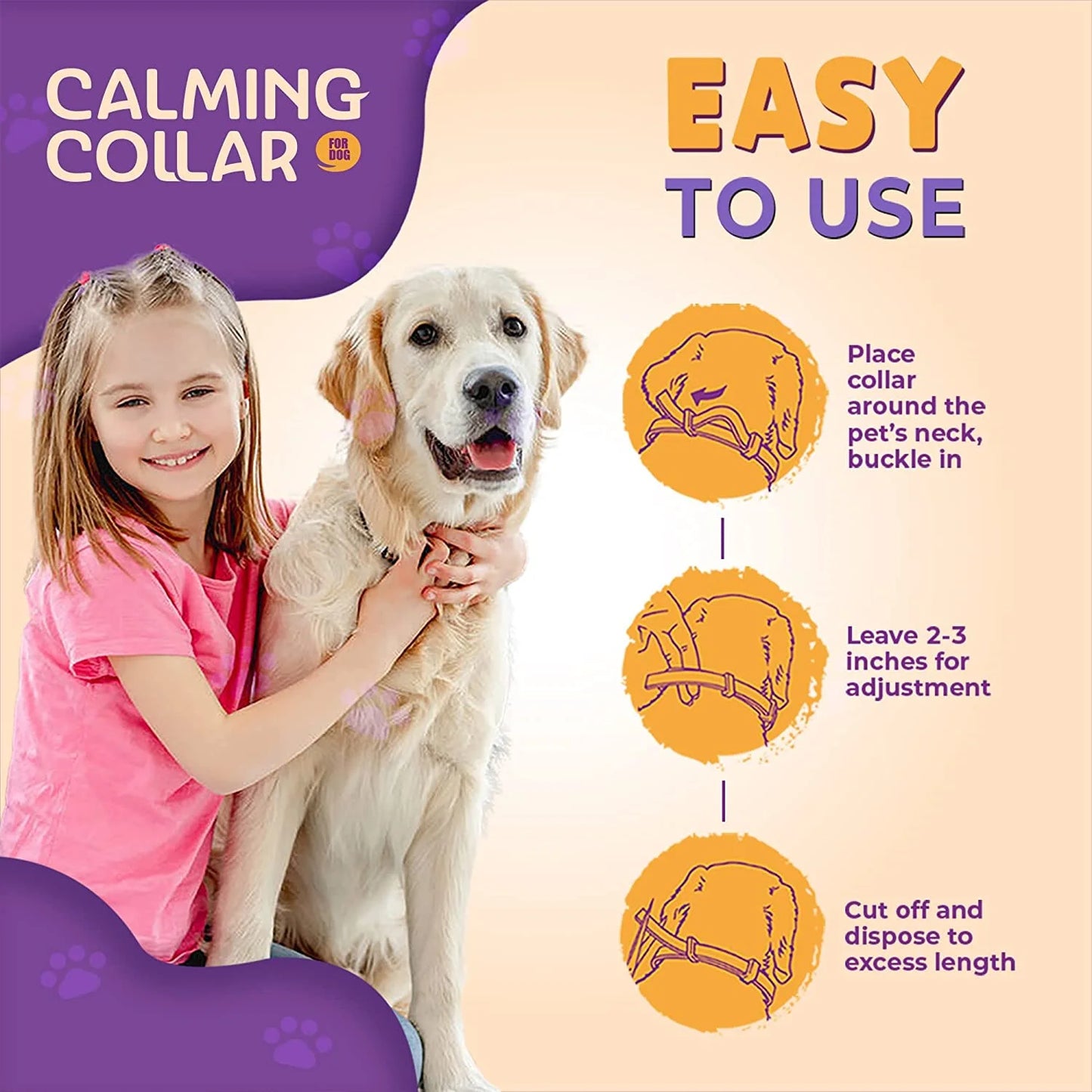 The Calming Collar That Brings Peace to Every Paw