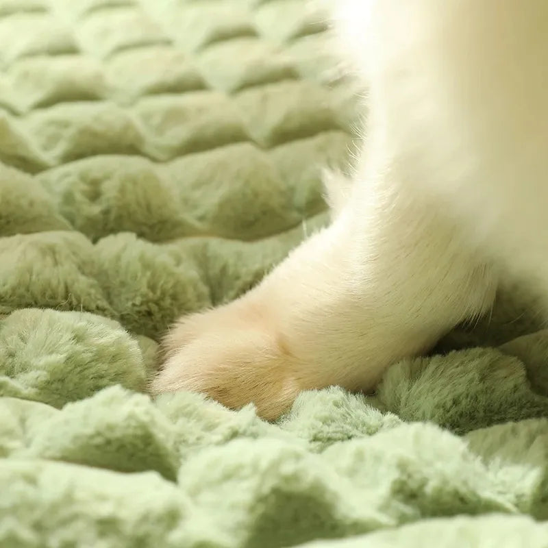 Snuggle Up to Serenity: The Luxe Warming Mat for Spoiled & Special Pets