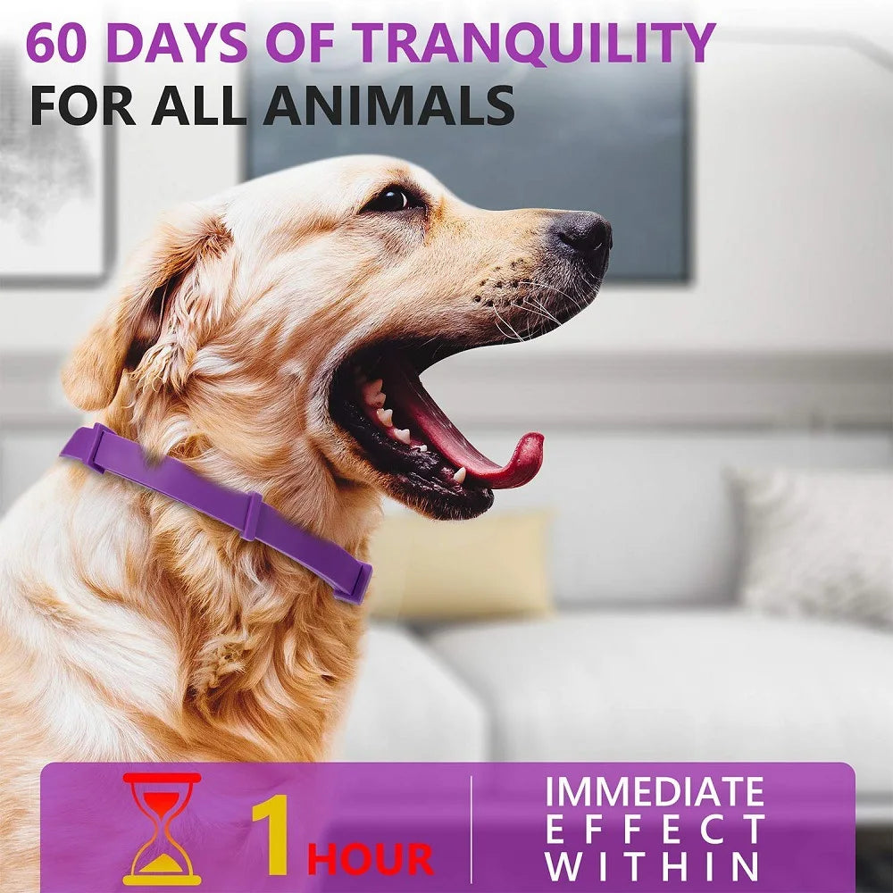 The Calming Collar That Brings Peace to Every Paw
