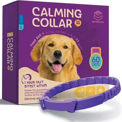 The Calming Collar That Brings Peace to Every Paw